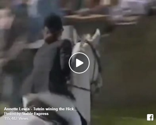 Annette Lewis Equestrian